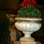 Cibele Otel